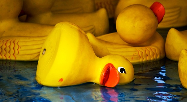 Canard