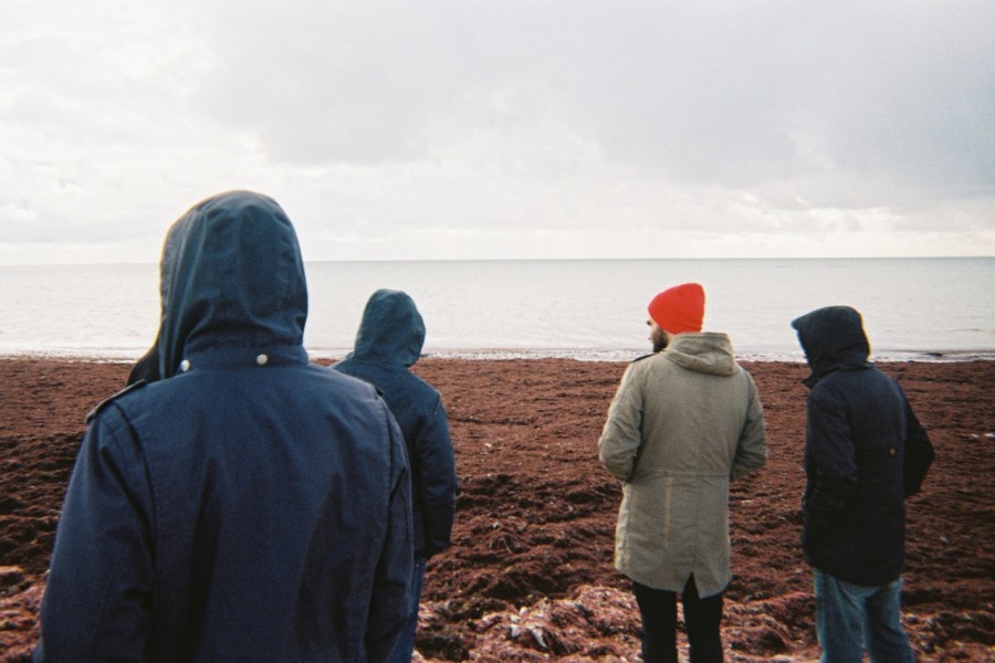 FAUVE