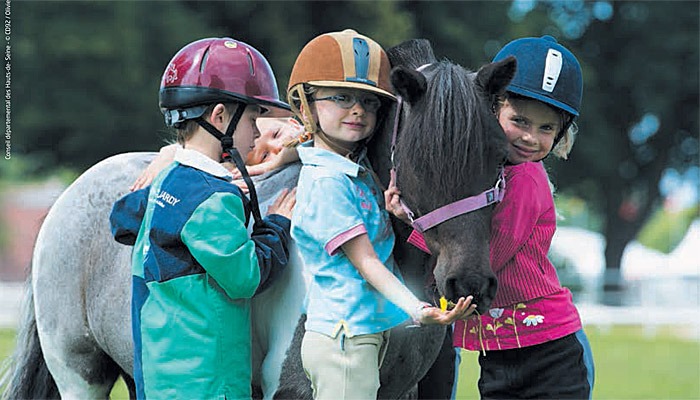 Journée du cheval Haras de Jarny