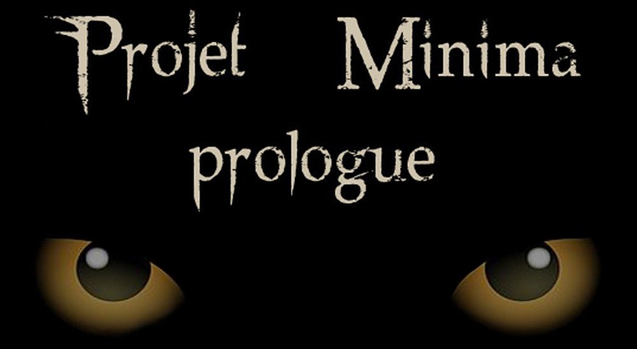 Projet Minima