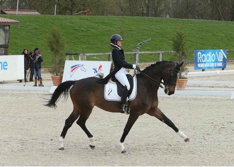 L’Ecurie Sellerie Kineton – Lamantia Couture remporte le GN FFE de DRE à Marnes la Coquette (92)
