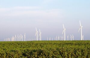 Le parc éolien de Roscoe, une ville du Texas aux Etats-Unis, est le plus grand au monde à l'heure actuelle. (© AWEA)