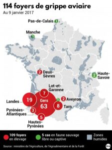 Les foyers de grippe aviaire en France. - La dépêche
