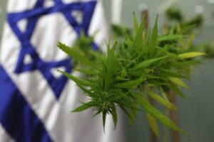 Israel Marijuana