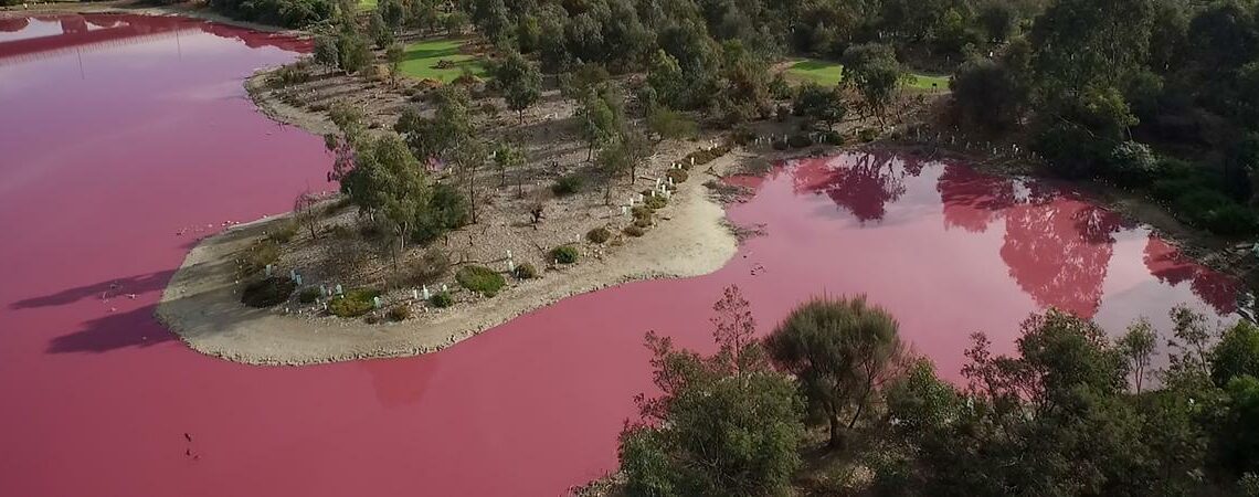 Australie