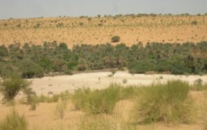 Tchad