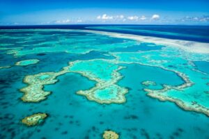 La barrière de corail est en train de mourir