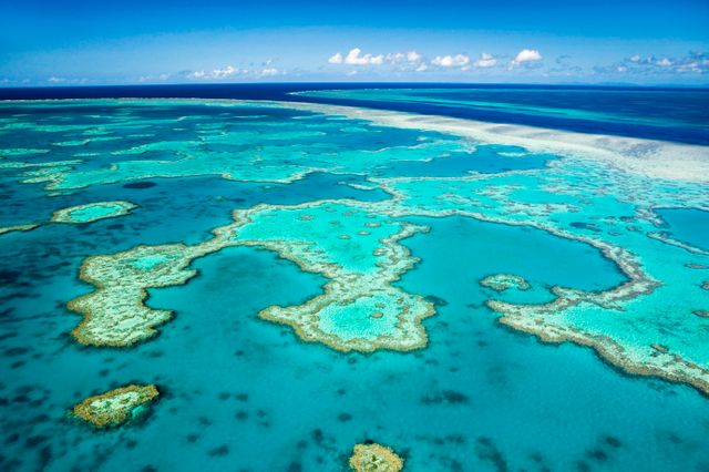 La barrière de corail est en train de mourir