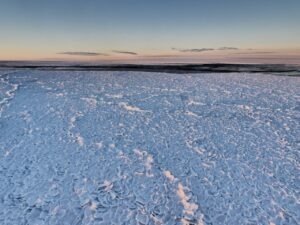 Antarctique : de la glace en "peau de dragon" est observée par les scientifiques