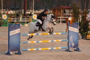 Feltesse