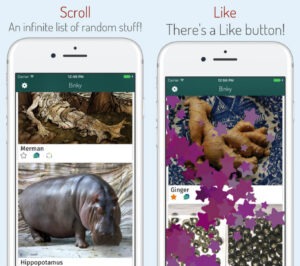 Binky, "le moins stressant des réseaux sociaux"