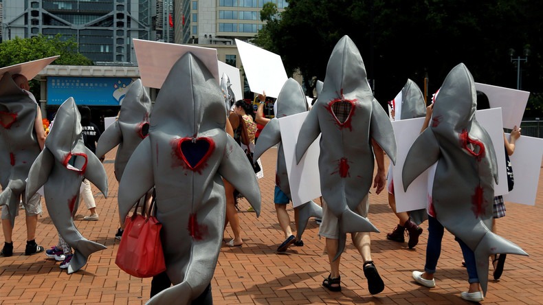 Hong Kong : des militants déguisés en requins pour protester contre la consommation d'ailerons