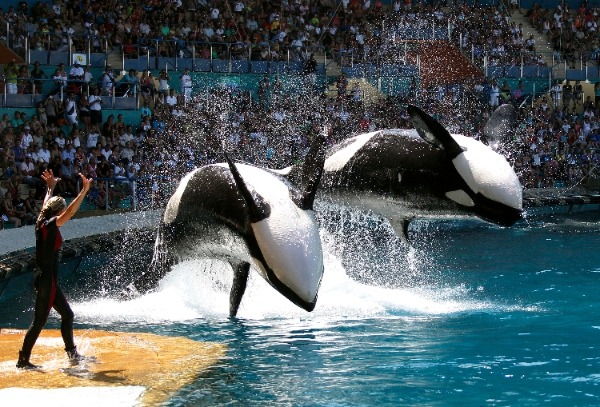 Elle rédige une non-autorisation de sortie à Marineland pour son fils