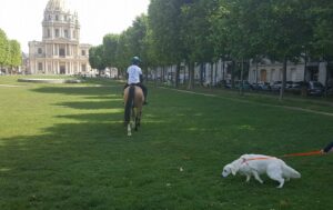 Un Cheval dans la Ville, la promotion du Longines Paris Eiffel Jumping