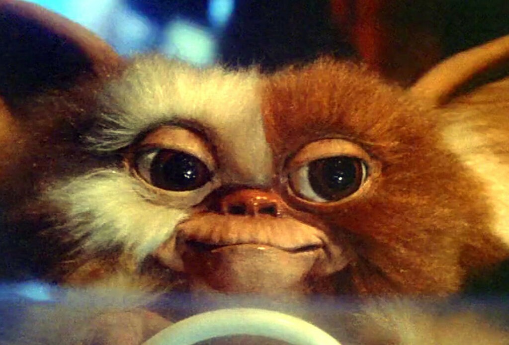Chris Columbus promet un scénario sombre pour Gremlins 3