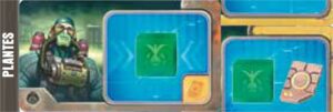 expert plantes