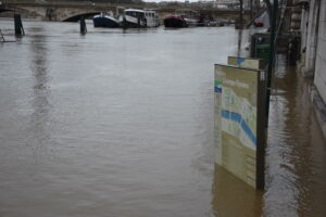 Seine
