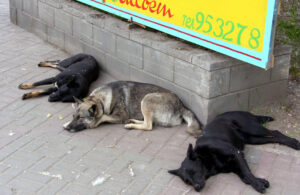 russie