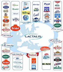 Les marques de l'empire Lactalis ©Lactalis