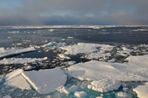 arctique