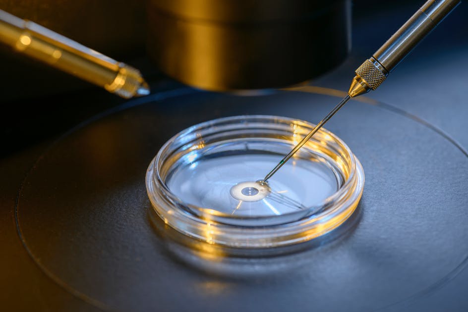 in vitro