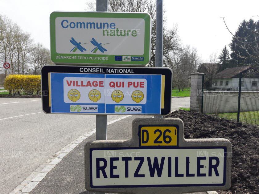 Insolite