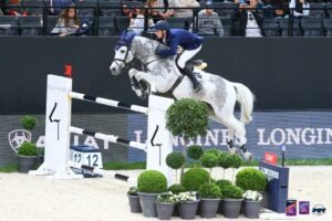 équitation