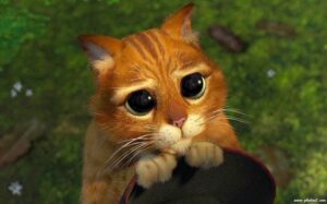 image-chat