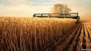image-agriculture-intensive