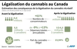 Estimation des conséquences de la légalisation du cannabis au Canada ( AFP / Selim CHTAYTI )