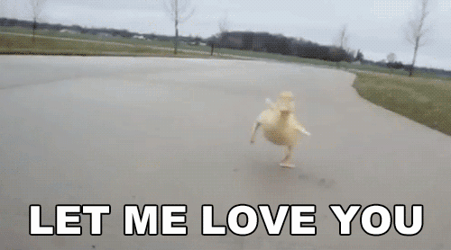 Les 10 phobies les plus ridicules (crédit : Giphy)