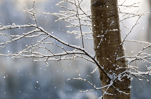 De la neige est attendue dans la nuit du lundi à mardi en Seine-et-Marne. (crédit : Giphy)