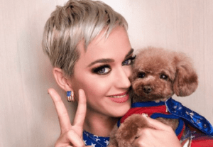 Katy Perry : la reine de Forbes