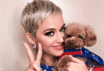 Katy Perry : la reine de Forbes