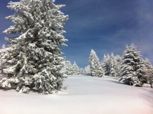 noël neige magie fête cadeaux sapin montagne vacances