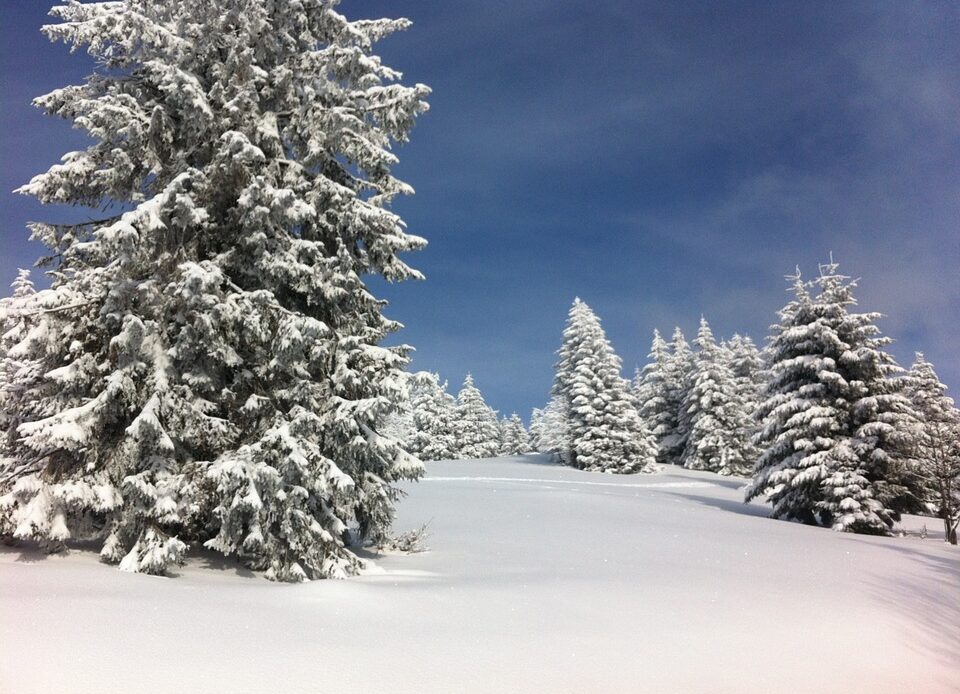 noël neige magie fête cadeaux sapin montagne vacances