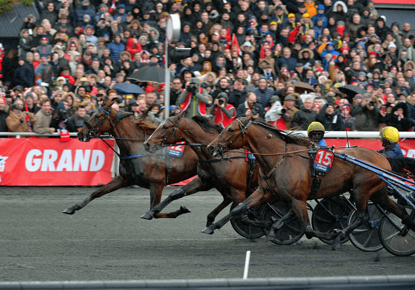Arrivée du 98ème Prix d'Amérique, Belina Josselyn, à l'extérieur, vient dominer Looking Superb, autre pensionnaire de Jean-Michel Bazire et Readly Express à la corde. JLL/LeTrot