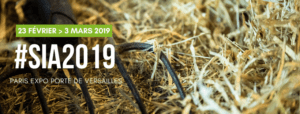 SIA 2019