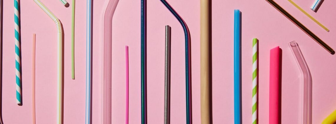 LesPailles.com alternative pailles sans plastique France