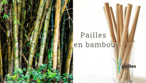 LesPailles.com pailles bois verre avocat pomme