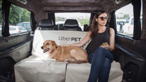 Femme et son chien dans un uber