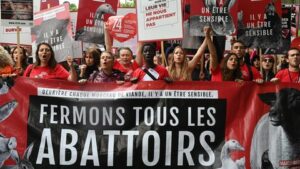 Défenseurs des animaux et des militants végans réunis le 8 juin 2019 dans les rues de Paris (afp.com/Dominique FAGET)