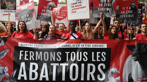 Défenseurs des animaux et des militants végans réunis le 8 juin 2019 dans les rues de Paris (afp.com/Dominique FAGET)