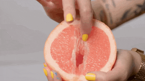 Sexe plaisir orgasme
