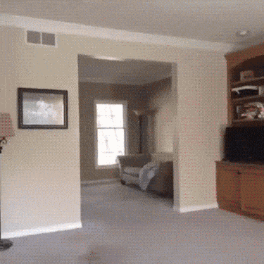 Aspirateur robot