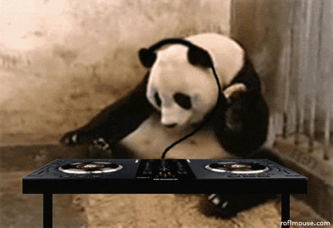 DJ