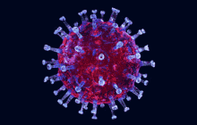 Virus