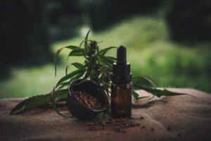 La vente de CBD bientôt autorisée ?