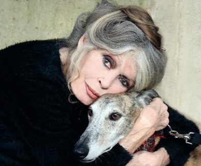 brigitte bardot condamnation insultes racistes réunion