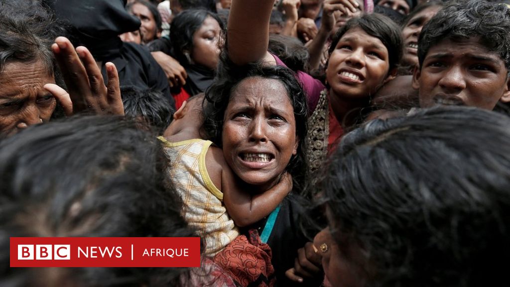 rohingya